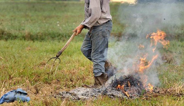 Ancora denunce per roghi agricoli - Vimarsana News