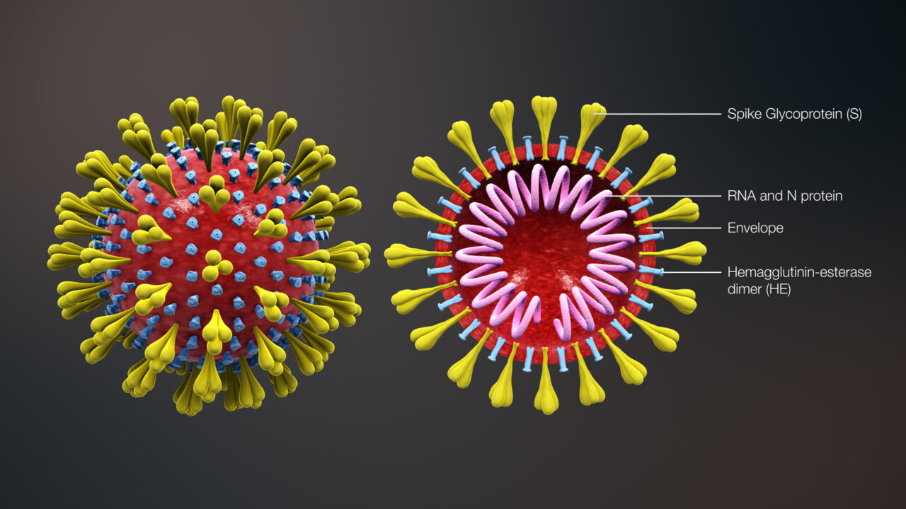 Coronavirus, 119 casi in Irpinia